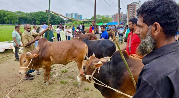 বাকৃবিতে জমজমাট কোরবানির পশুর হাট, চলবে ঈদের দিন সকাল পর্যন্ত